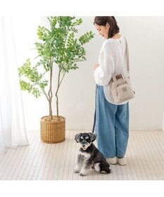 PET PARADISE ペットパラダイス くまちゃん お散歩 ショルダー