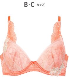 Wing 3/4カップブラ　【2660シリーズ】　ウイング／ワコール　PB2660