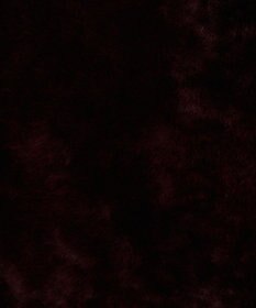 JOSEPH シェアリング　リバーシブルジャケット