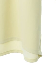 AMERICAN HOLIC バックフリル半袖プルオーバー