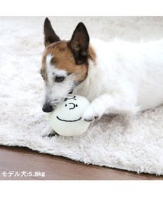 PET PARADISE スヌーピー 犬用おもちゃ デンタル フェイス チャーリーブラウン