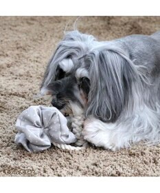 PET PARADISE ペットパラダイス 引っ張り シュシュ トイ  《 花柄 / ドット柄 》