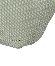 AMERICAN HOLIC 【2点SET】ポーチ付ダブルメッシュウエストポーチ