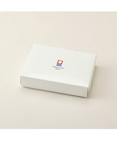 PRESENTERS ROOM CUOL タオルではじめるスキンケア / フェイスタオル　ホワイト×ミント