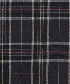 J.PRESS LADIES L プロビスストライプチェック フリルネック カットソー