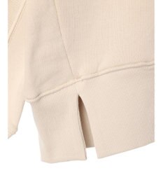 AMERICAN HOLIC バックＶラグランスウェット