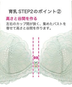 BRADELIS New York 【BRADELIS New York / 育乳ブラ・STEP2 寄せる】　ナオミステップ2ブラ22A1