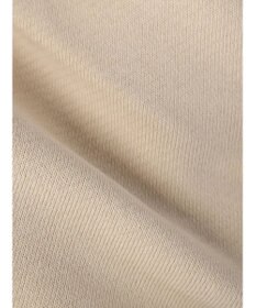 AMERICAN HOLIC バックＶラグランスウェット