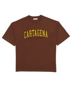 WEGO 【ユニセックス着用アイテム/MLサイズ展開】サガラワッペンロゴBIG　T（SS）