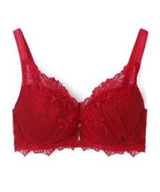 San-ai Resort（三愛水着楽園） 【エレガントコレクションPremium2312】単品ブラEFGカップ 【northerly】