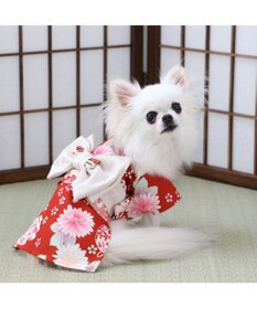 PET PARADISE ペットパラダイス 手毬菊 着物 小型犬