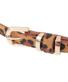 earth music&ecology ダブルメタルカン　細ベルト