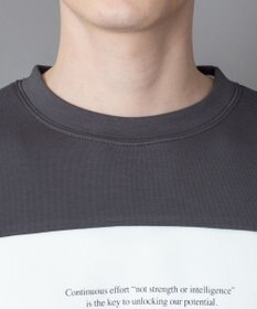 WEGO カラーパネルプルオーバー