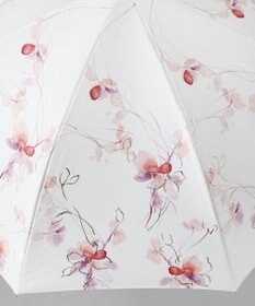 AURORA 【 JILL STUART（ジル スチュアート）】グラデーションフラワープリント雨傘(長傘)