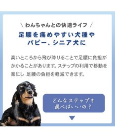 PET PARADISE スヌーピー デニム風ステップ 2段