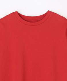 ANY プレミアムコットンベーシックＴシャツ