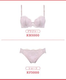 Wing 【ナチュラルアップブラ】 ふっくら自然なバストをメイク AA~Fカップ展開 KB3000 ウイング／ワコール