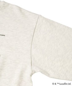 Green Parks ＳＴＡＲ　ＷＡＲＳ／プリントスウェット