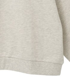 Green Parks ＳＴＡＲ　ＷＡＲＳ／プリントスウェット