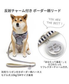 PET PARADISE 犬 リード 【ＳＭ】 ボーダー