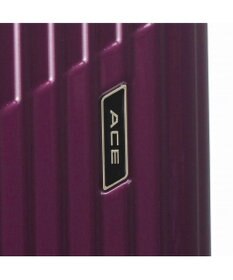 ACE BAGS & LUGGAGE ACE クレスタ スーツケース 5~7泊 64~70Ｌ エキスパンド機能 06317 エース