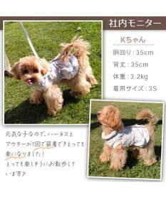 PET PARADISE ペットパラダイス くまちゃん アウターハーネス 小型犬