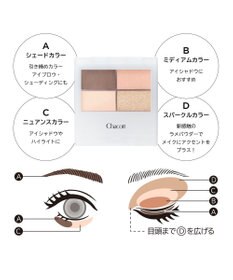 Chacott Cosmetics フェイスカラーパレット【505】 ウォルナットベージュ