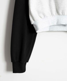 WEGO カレッジカットパーカー