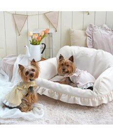 PET PARADISE ペットパラダイス スプリング ワンピース 《イエロー》 超小型犬 小型犬