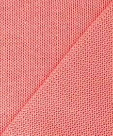 23区 【先行予約】コットンギマ クルーネック ニット