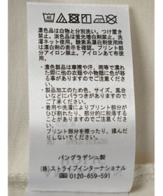 AMERICAN HOLIC リンガーロゴプルオーバー①