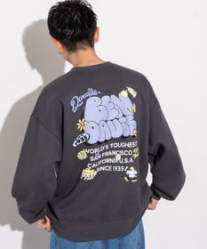 WEGO 【ユニセックス着用ITEM/MLサイズ展開/裏起毛】別注BENDAVISプランプロゴプルオーバー