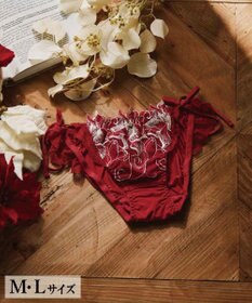 San-ai Resort（三愛水着楽園） エレガントコレクション2311ヒモショーツ  【M・Lサイズ】  【northerly】