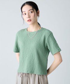 ANY L レースショート丈Tシャツ