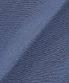 GOTAIRIKU 【MADE IN ITALY】BERWICH×gotairiku別注 スラックス(JMORELLO-GD)