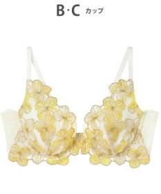 AMPHI ブラジャー ふっくらまる胸キープ 脇高設計 脇・背中スッキリ【Hold Day Bra】 BYJ311 アンフィ／ワコール