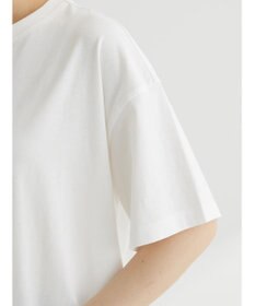 Green Parks 小さめカレッジボックスＴシャツ
