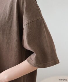 Green Parks スティッチ／ウ゛ィンテージ風ピグメントＴシャツ