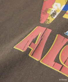 Green Parks スティッチ／ウ゛ィンテージ風ピグメントＴシャツ