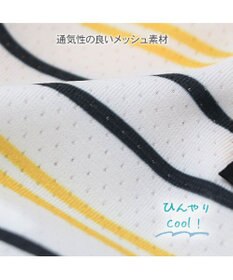 PET PARADISE Lee エコメイド 彩ボーダー タンクトップ 小型犬