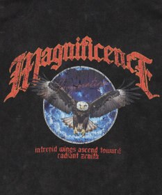 WEGO 【ユニセックス着用ITEM/MLサイズ展開】パウダーブリーチグラフィックZIPパーカー