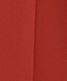 ANY L 【裏起毛/ウエストゴム】ウォームテーパードパンツ