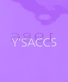 Y'SACCS パラコード編み込みトート