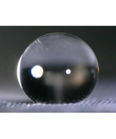 MOONBAT 【超撥水】フロータス (FLO(A)TUS) 折りたたみ傘 ストライプフラワー 耐風