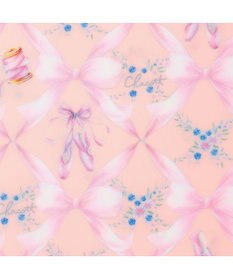 Chacott トゥリボンクリアファイル