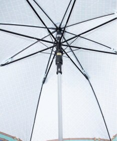 AURORA PINKY & DIANNE（ピンキー＆ダイアン） 雨傘（長傘）