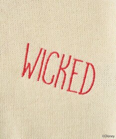 earth music&ecology Ｖｉｌｌａｉｎｓ　クルエラ／ニットカーディガン