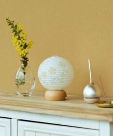 ちょうちん堂 【あかり道】〈手書絵付〉ナチュラルなでしこ ちょうちん ライト