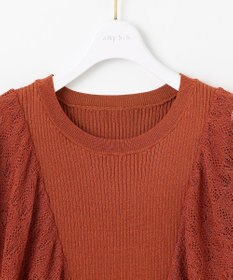 ANY SIS L 【洗える】レーシーフレアスリーブ ニット