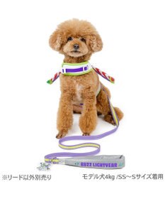 PET PARADISE ディズニー トイ・ストーリー バズ リード ＳＳ～Ｓ